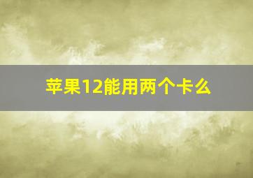 苹果12能用两个卡么