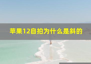 苹果12自拍为什么是斜的