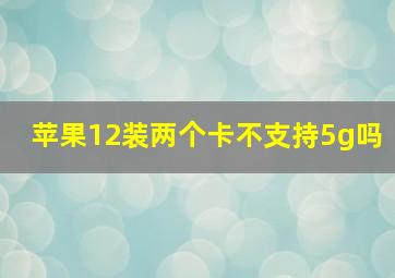 苹果12装两个卡不支持5g吗