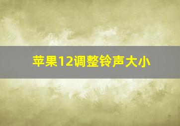 苹果12调整铃声大小