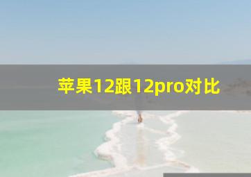 苹果12跟12pro对比