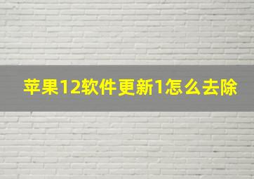 苹果12软件更新1怎么去除