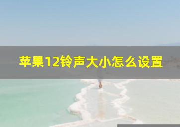 苹果12铃声大小怎么设置