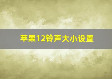 苹果12铃声大小设置