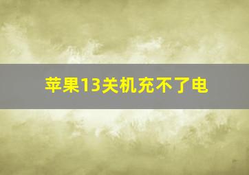 苹果13关机充不了电