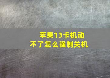 苹果13卡机动不了怎么强制关机