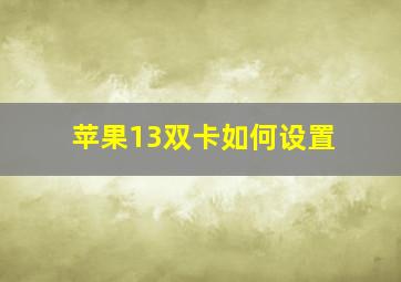 苹果13双卡如何设置