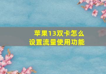 苹果13双卡怎么设置流量使用功能