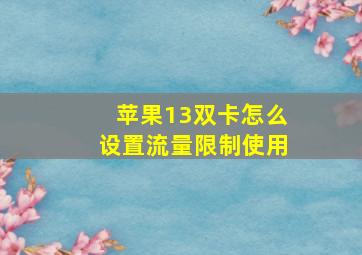 苹果13双卡怎么设置流量限制使用