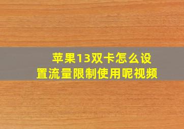 苹果13双卡怎么设置流量限制使用呢视频