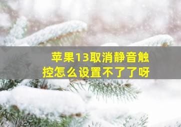 苹果13取消静音触控怎么设置不了了呀