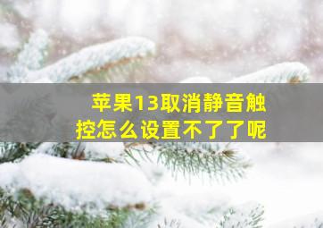 苹果13取消静音触控怎么设置不了了呢