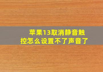 苹果13取消静音触控怎么设置不了声音了