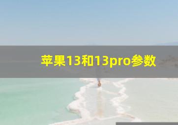 苹果13和13pro参数