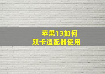 苹果13如何双卡适配器使用