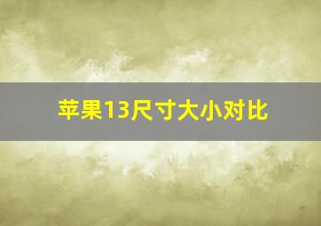 苹果13尺寸大小对比