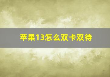 苹果13怎么双卡双待