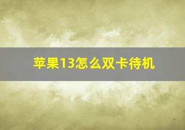 苹果13怎么双卡待机