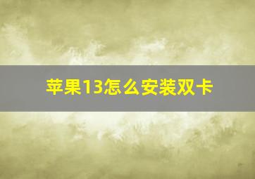 苹果13怎么安装双卡