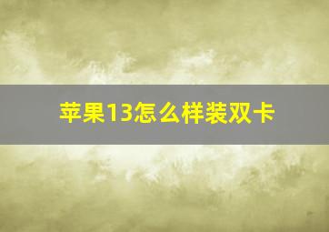 苹果13怎么样装双卡