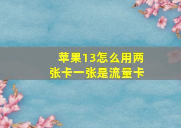 苹果13怎么用两张卡一张是流量卡