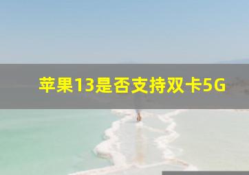 苹果13是否支持双卡5G