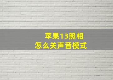 苹果13照相怎么关声音模式