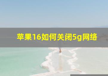 苹果16如何关闭5g网络