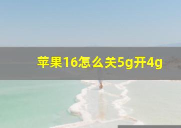 苹果16怎么关5g开4g