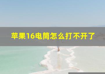 苹果16电筒怎么打不开了