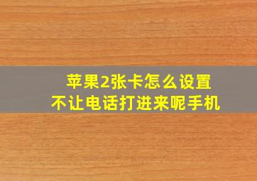 苹果2张卡怎么设置不让电话打进来呢手机