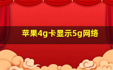 苹果4g卡显示5g网络