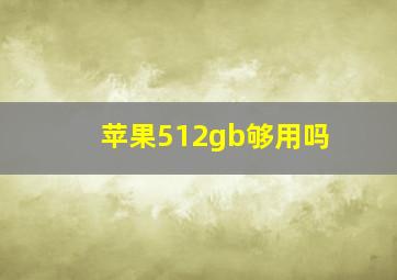 苹果512gb够用吗