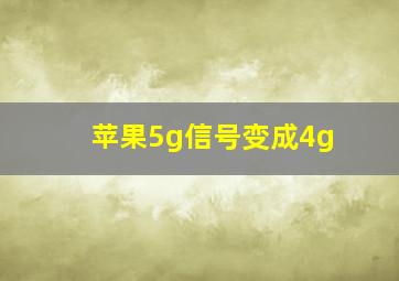 苹果5g信号变成4g