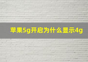 苹果5g开启为什么显示4g