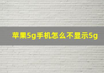 苹果5g手机怎么不显示5g