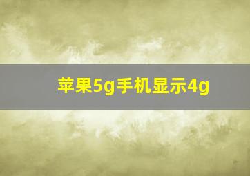 苹果5g手机显示4g