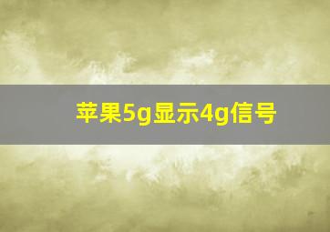 苹果5g显示4g信号