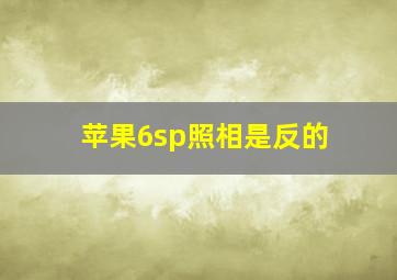 苹果6sp照相是反的