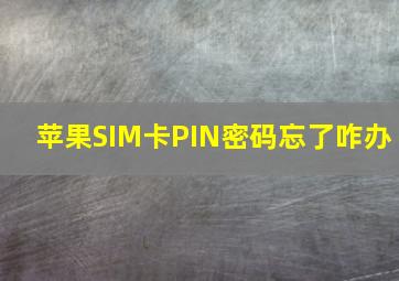 苹果SIM卡PIN密码忘了咋办