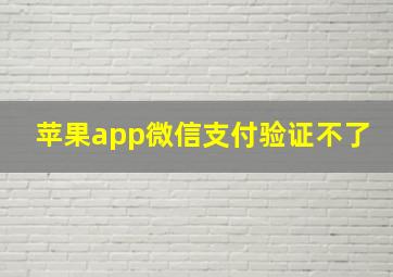 苹果app微信支付验证不了