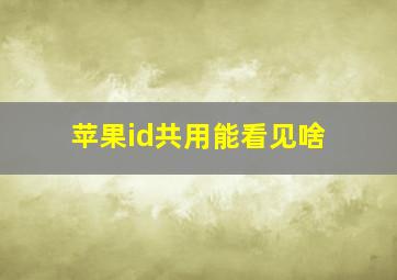 苹果id共用能看见啥