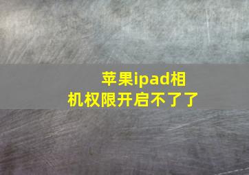 苹果ipad相机权限开启不了了