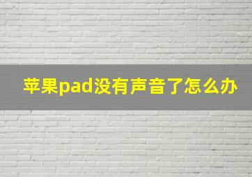 苹果pad没有声音了怎么办