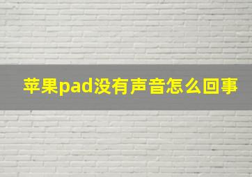 苹果pad没有声音怎么回事