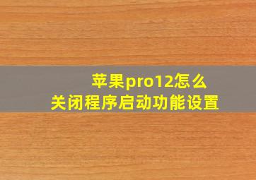 苹果pro12怎么关闭程序启动功能设置