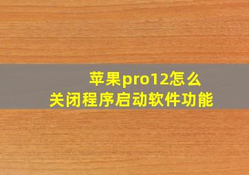 苹果pro12怎么关闭程序启动软件功能