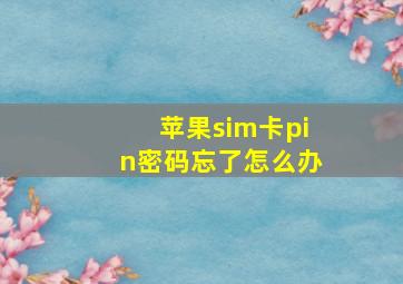 苹果sim卡pin密码忘了怎么办