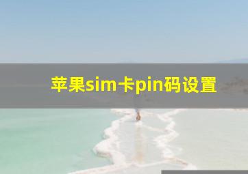 苹果sim卡pin码设置