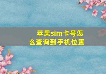 苹果sim卡号怎么查询到手机位置